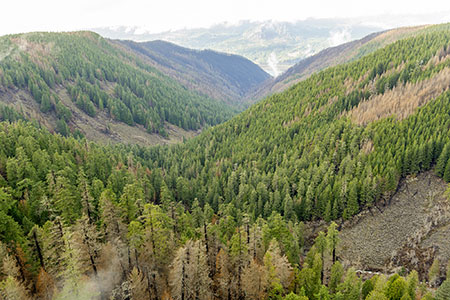 20aUpperOneontaCanyonBellCreekThumb