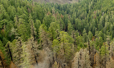 20bUpperOneontaCanyonBellCreek