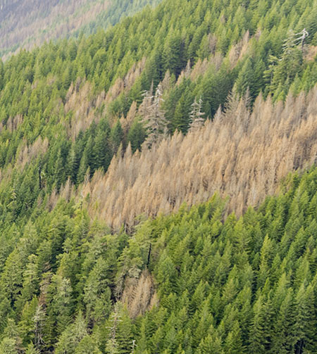 20cUpperOneontaCanyonBellCreek