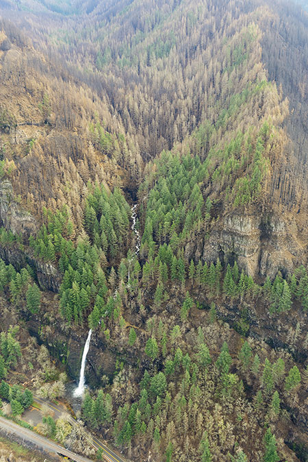 21aHorsetailFallsCanyonThumb