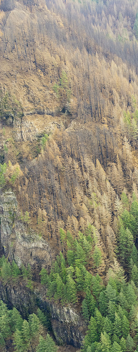 21dHorsetailFallsCanyon