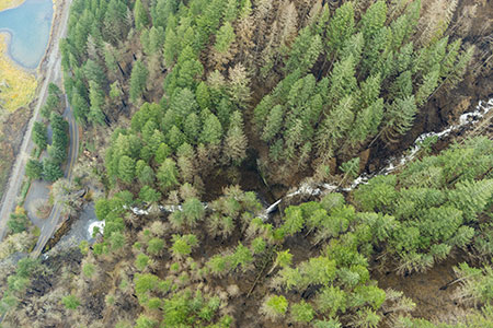 22aHorsetailFallsPonytailFallsThumb