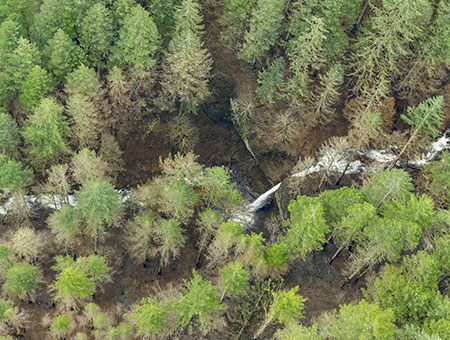 22bHorsetailFallsPonytailFalls