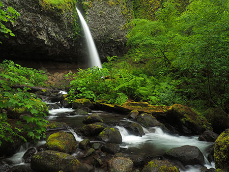 22dPonytailFalls2015