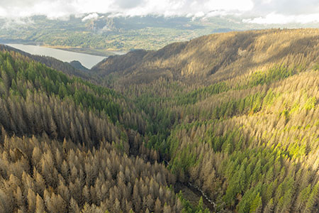 23aHorsetailCreekCanyonThumb