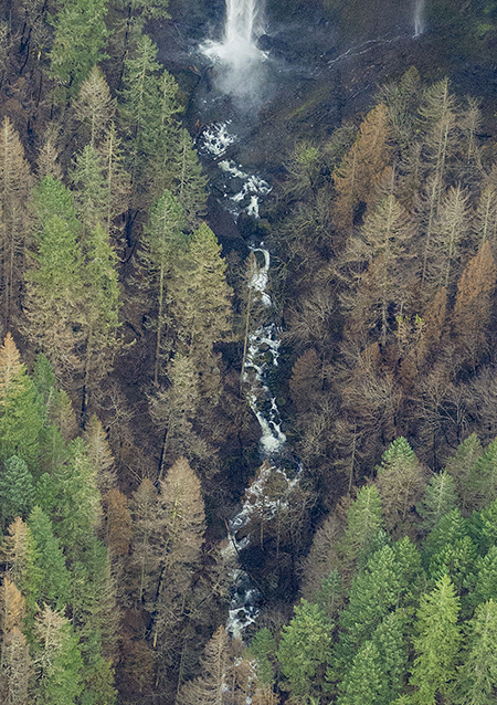 02dElowahFallsMcCordCreek