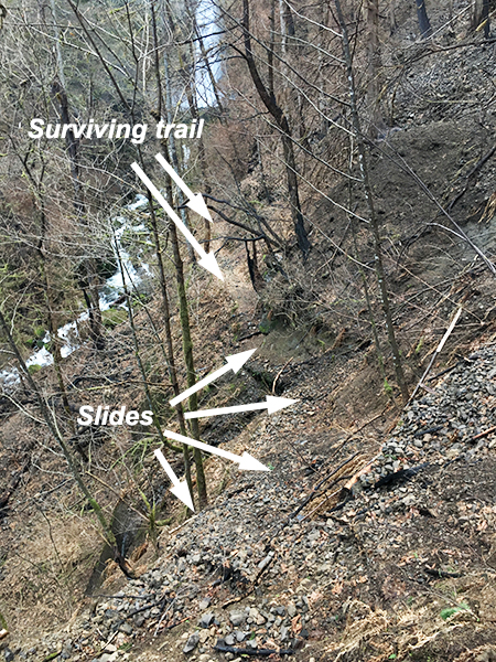 02eMcCordCreekTrail2018