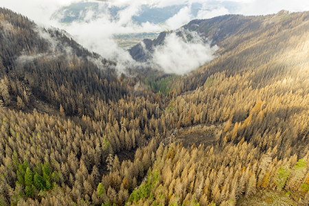 04aMcCordCreekCanyon