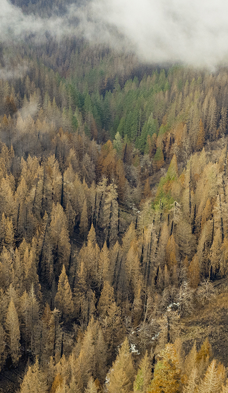 04bMcCordCreekCanyon