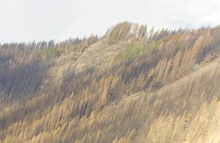 04cMcCordCreekCanyonWaunekaPoint