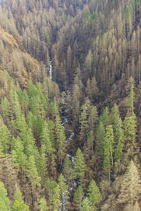 05aMoffettCreekFalls