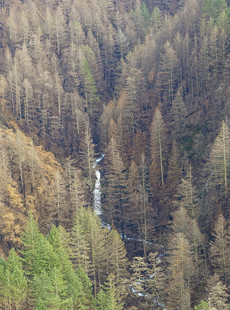 05bMoffettCreekFalls