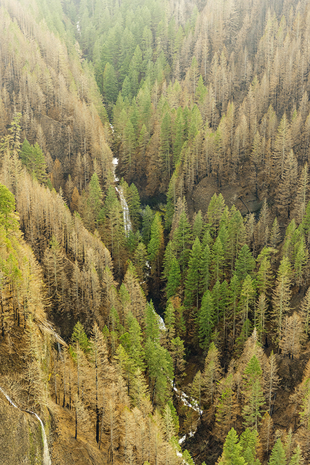 07aMoffettCreekKwanesumFalls