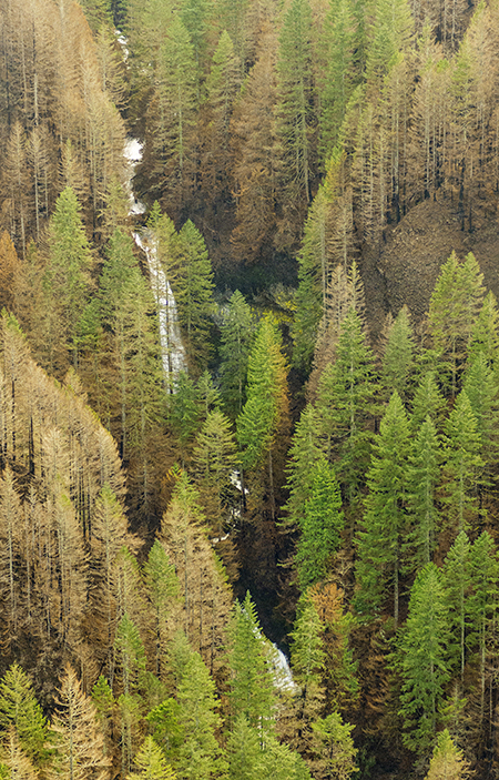 07bMoffettCreekKwanesumFalls