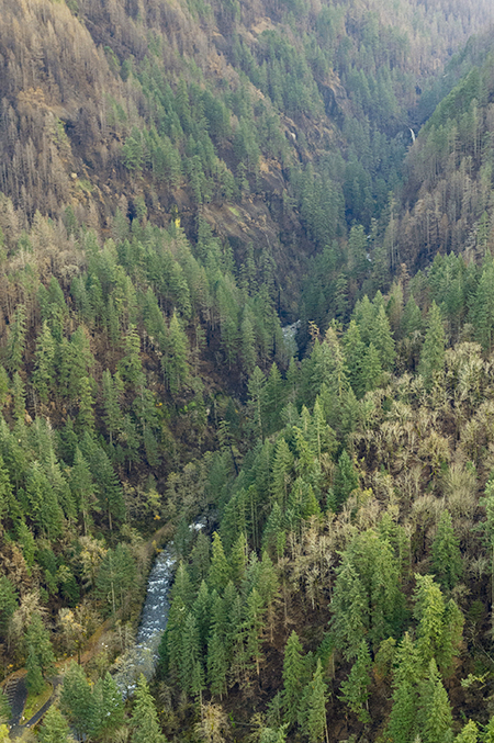 09bTannerCreekLowerCanyon