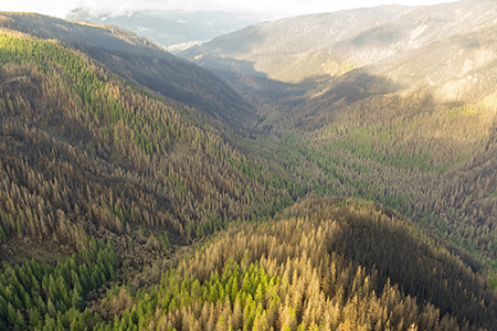 11aUpperTannerCreekValley