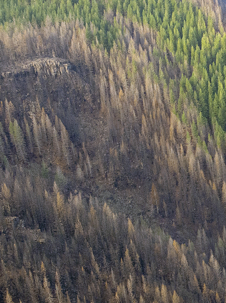 11bUpperTannerCreekValley