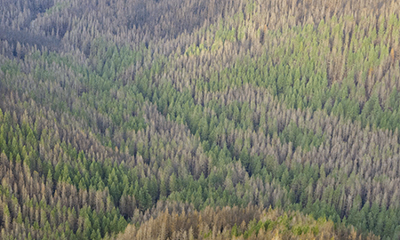 11dUpperTannerCreekValley