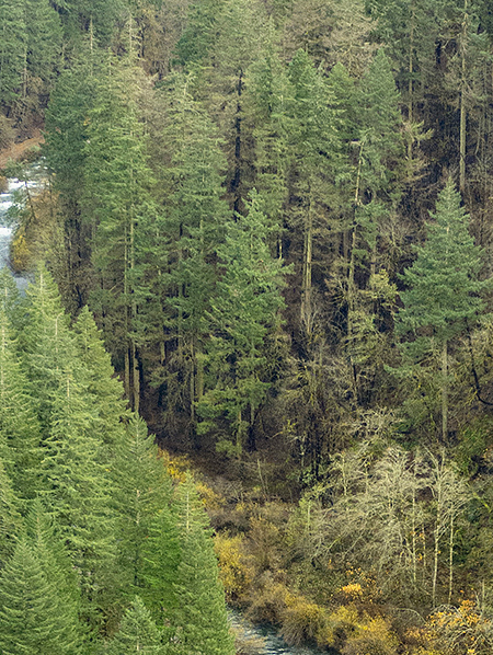 13cEagleCreekLowerCanyon