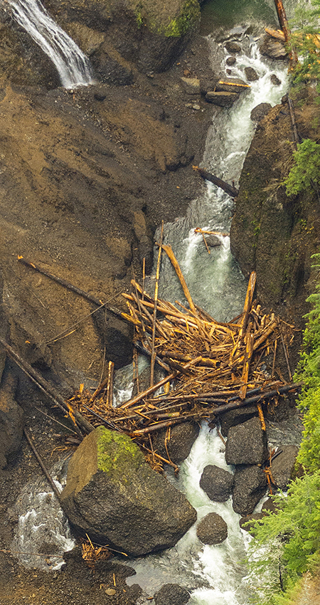 15cEagleCreekMetlakoGorge