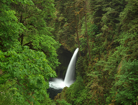 16cEagleCreekMetlakoFalls2013