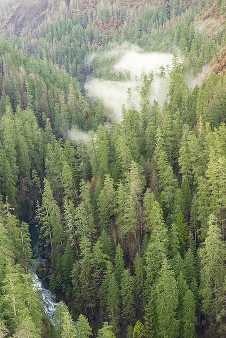 18aEagleCreekPunchBowlFalls
