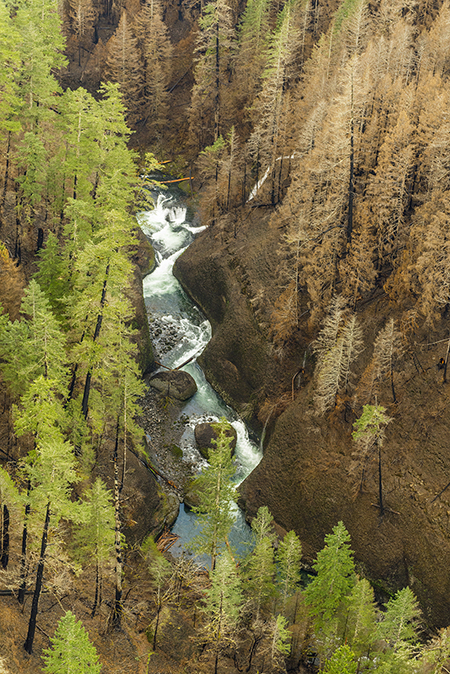 19aEagleCreekLoowitGorge