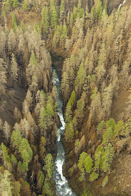 21aEagleCreekGorgeAboveHighBridge