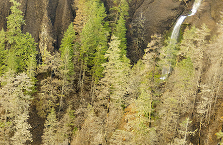 21bHighBridgeBensonFalls