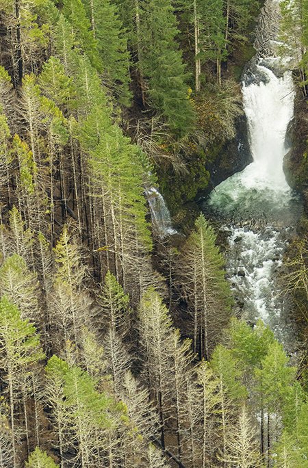 24bEagleCreekSevenmileFalls