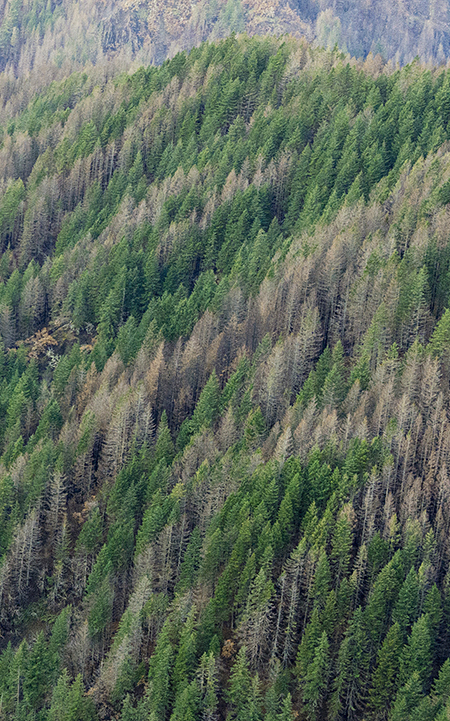 25bUpperEagleCreekCanyon