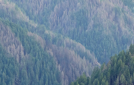 26bHermanCreekCanyon