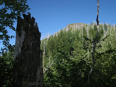 30AngelsRestSummitApproach2004