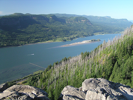 32AngelsRestSummitView2004