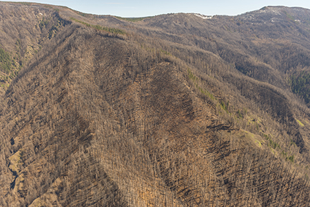 25EagleCreekCollapse