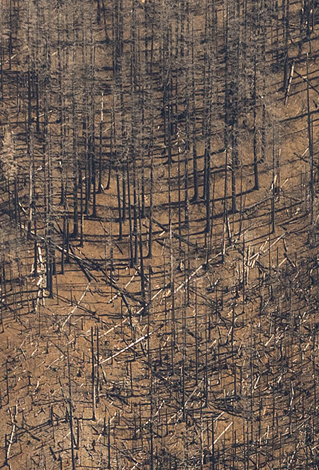 26EagleCreekCollapse