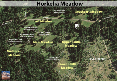 Horkelia16SmallMap
