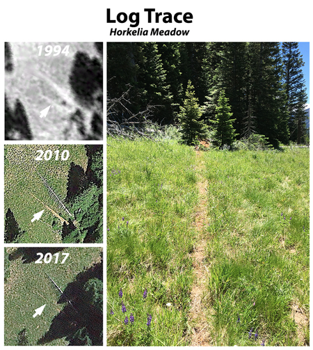 Horkelia37LogTraceComparison