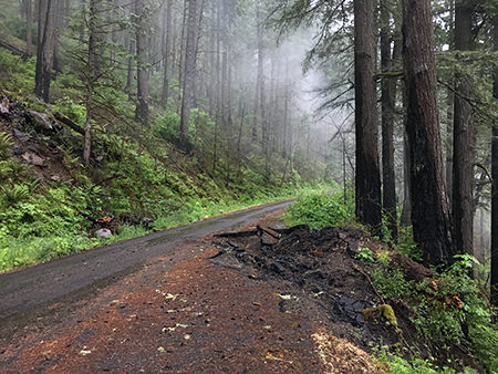 MemalooseRoadBoulder01