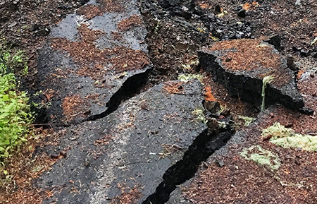 MemalooseRoadBoulder03