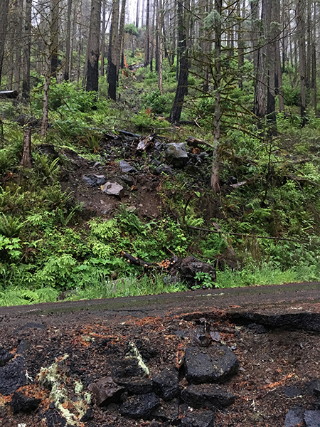 MemalooseRoadBoulder06