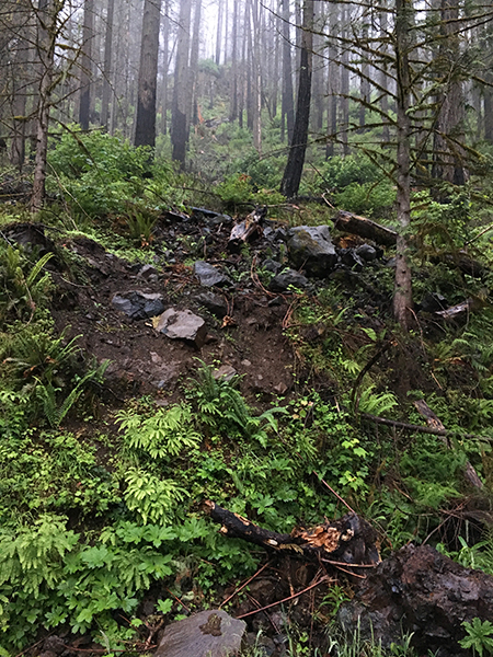 MemalooseRoadBoulder07