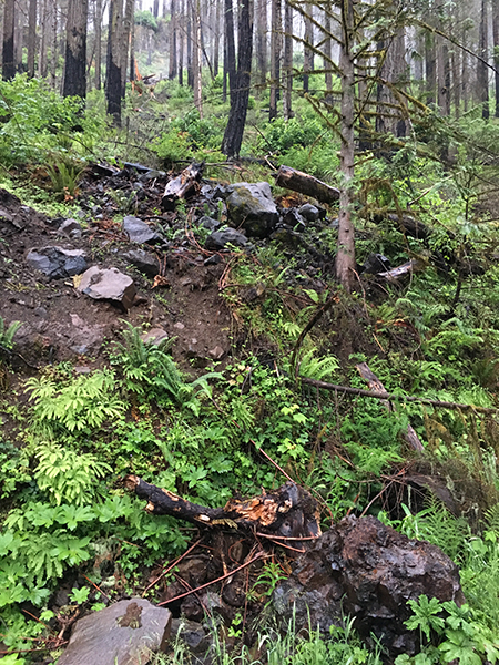 MemalooseRoadBoulder08