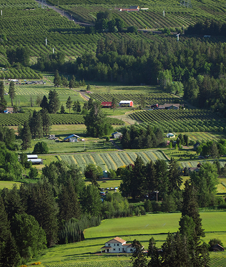 05bUpperValleyFarmDetail