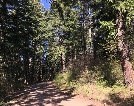 05eMiddleMountainTimberSaleBoundary