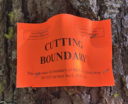 05fMiddleMountainTimberSaleBoundarySign