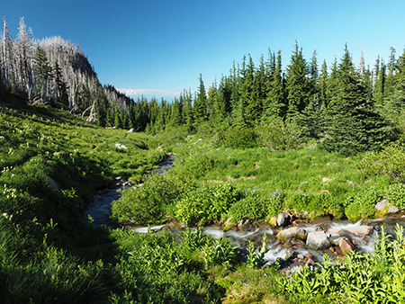 07boveCreekAdams99Ridge