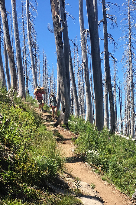 07cVistaRidgeHikersCarryingDog