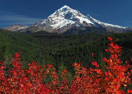 10aHoodLoloPassRoadFallMaples