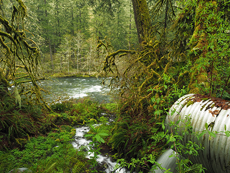 11bMolallaRiverMile8CreekCulvert